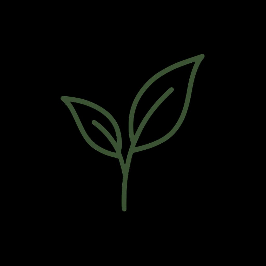 Information Overload.