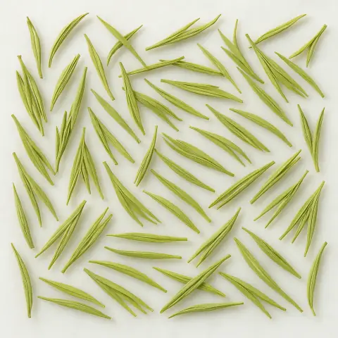 Anji Bai Cha