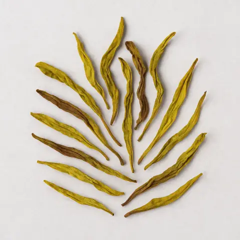 Bai Ji Guan (White Cockscomb)