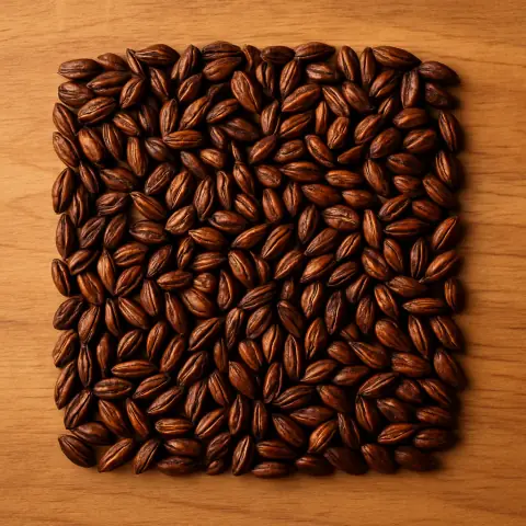 Barley Tea (Mugicha)
