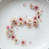 梅花茶