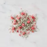 Wassermelonen-Weißtee