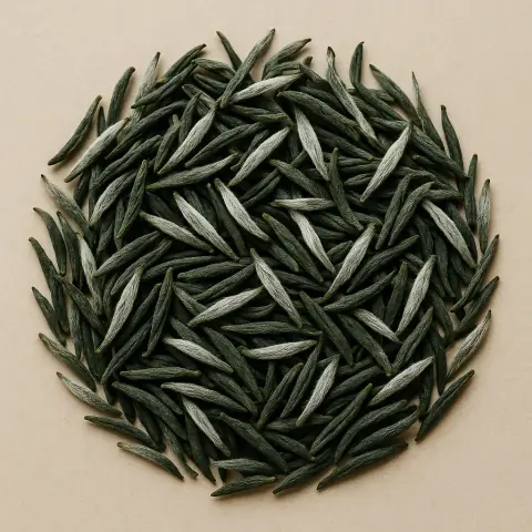 Xinyang Maojian